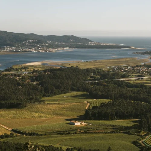 Bodegas junto a las Rías Baixas Enoturismo O Rosal