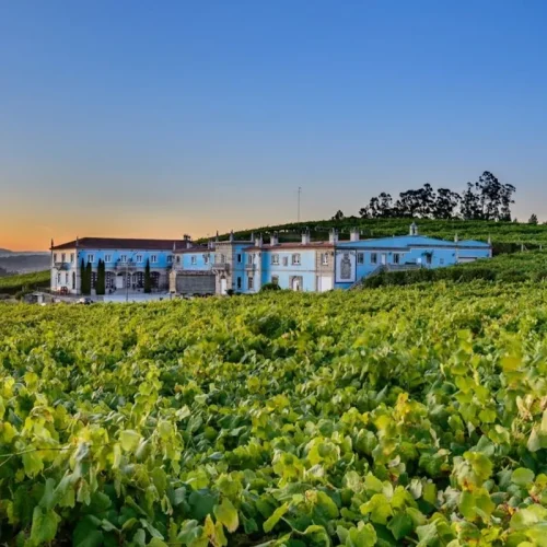 Pazo azul entre viñedos de las Rías Baixas enoturismo y eventos