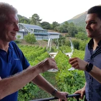 Catas de vino y visita a viñedos y bodegas en Galicia